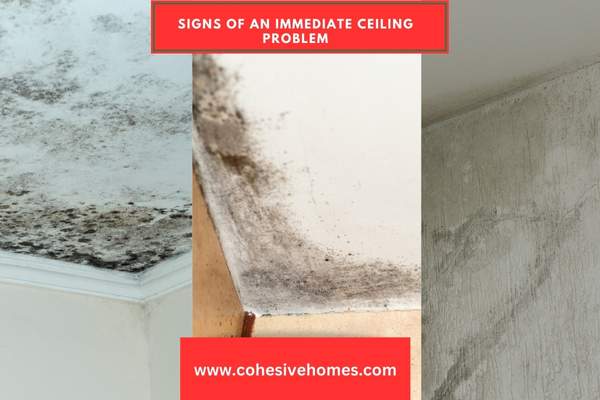 Signs of an Immediate Ceiling Problem